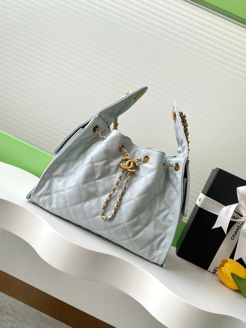 Chanel embossed leather hip-hop bag (1 of 8)