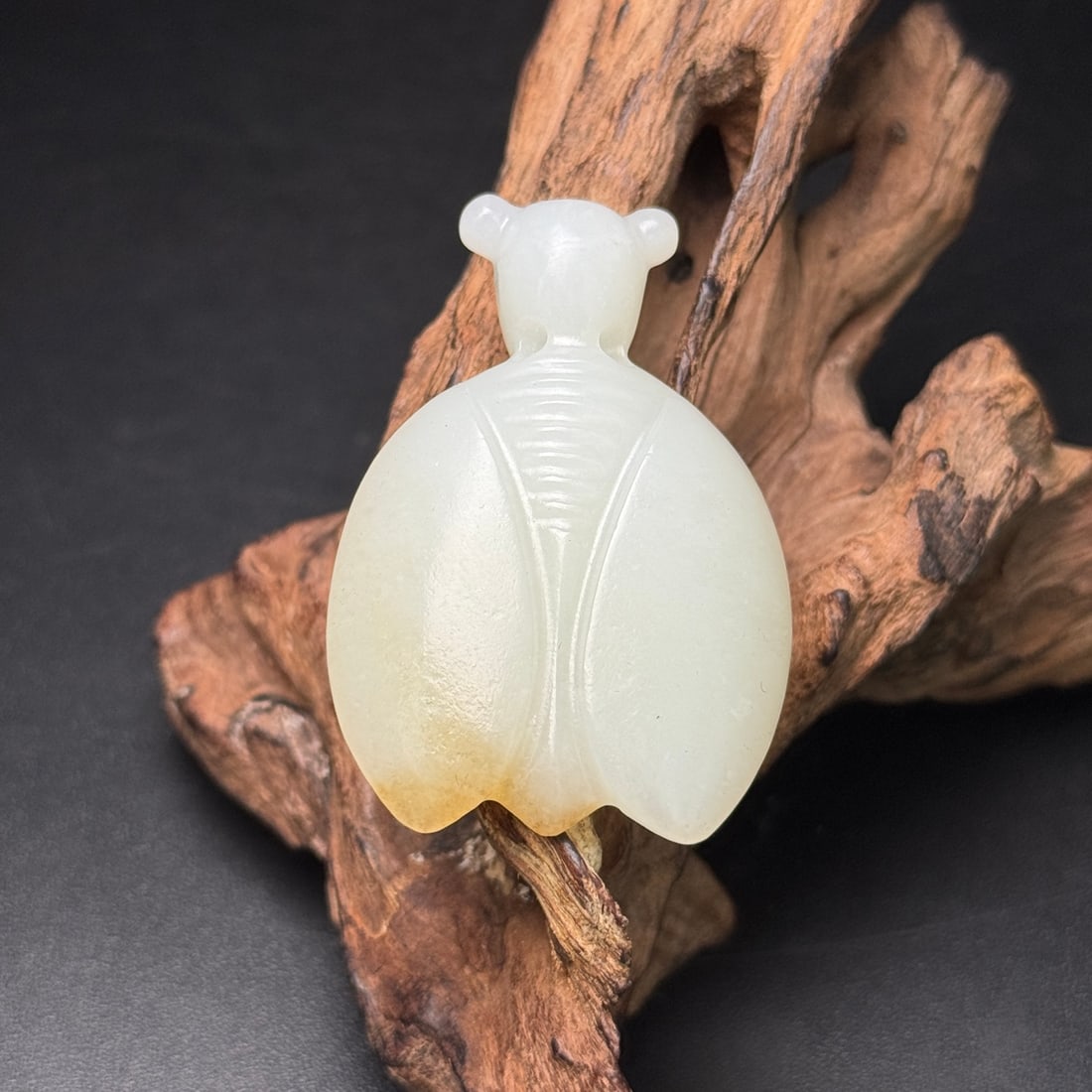 Hotan jade cicada (1 of 9)