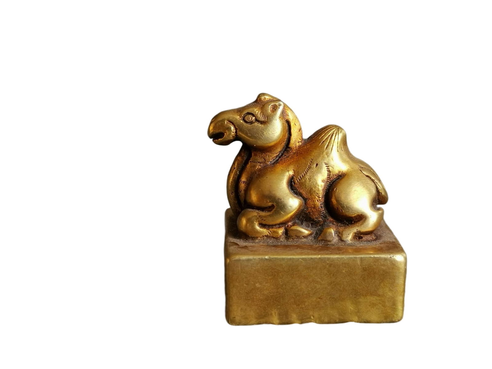 Treasured camel-shaped gold seal (1 of 8)