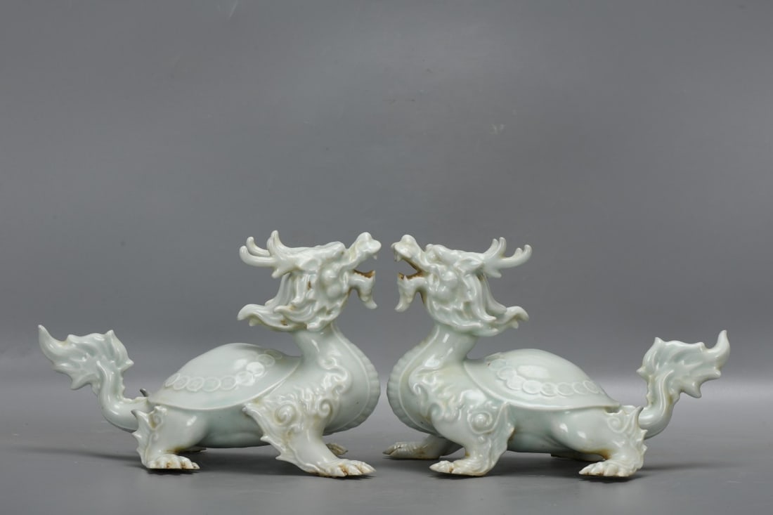 A pair of sweet white dragon turtles with white heads and bodies. (1 of 9)