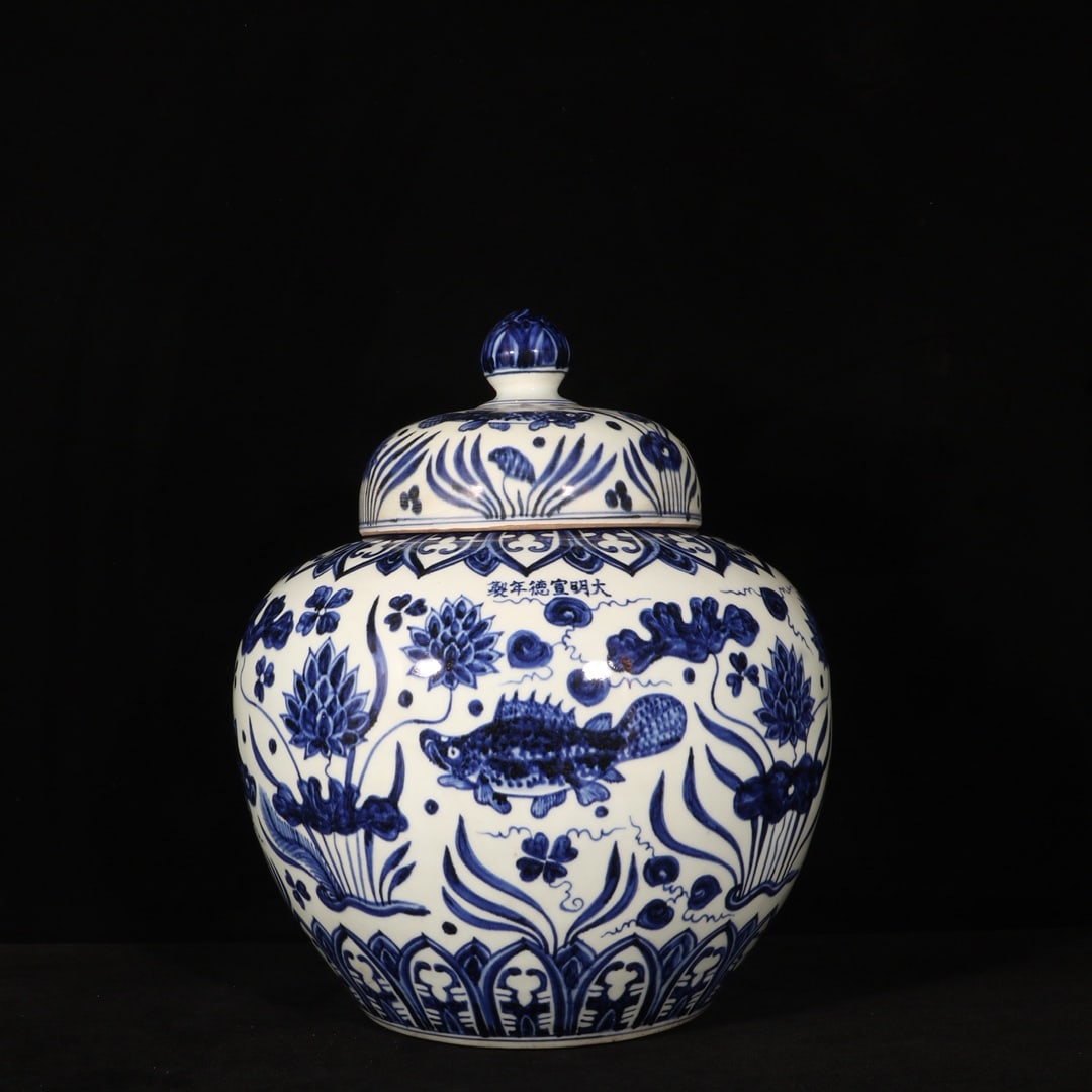 Ming Xuande blue and white fish and algae pattern covered jar (1 of 9)