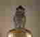 item-120252347=12