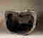 item-120252347=14