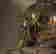 item-120252347=6