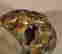 item-120252373=3