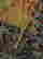 item-131730852=8