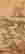item-131731011=12