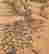 item-131731011=3