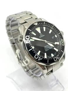 Omega Seamaster 42mm Professional Stainless Steel Men's Watch: Omega Seamaster 42mm Professional Stainless Steel Men's Watch