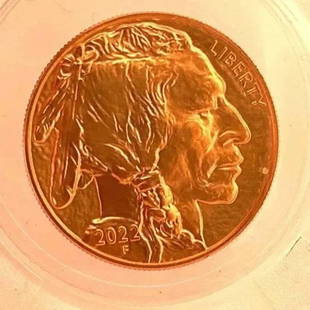 American Buffalo "F" $50 2022 One (1) Ounce Gold Proof Coin: 1 Oz .9999 pure gold $50 Coin. 100% Authentic 24-karat gold coin features designs based on the original 1913 Type I Buffalo nickel designed by James Earle Fraser