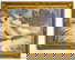 item-206176520=1