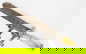 item-206176638=6