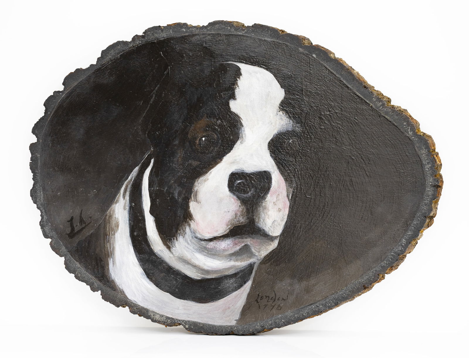 Sign J.H., Bullfighter Dog Portrait, London, 1948, Oil on Wood (1 of 6)