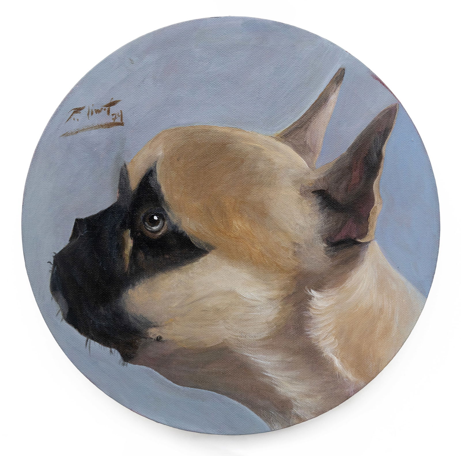 Fred Lincot, French Bulldog, Oil on Canvas Painting (1 of 5)
