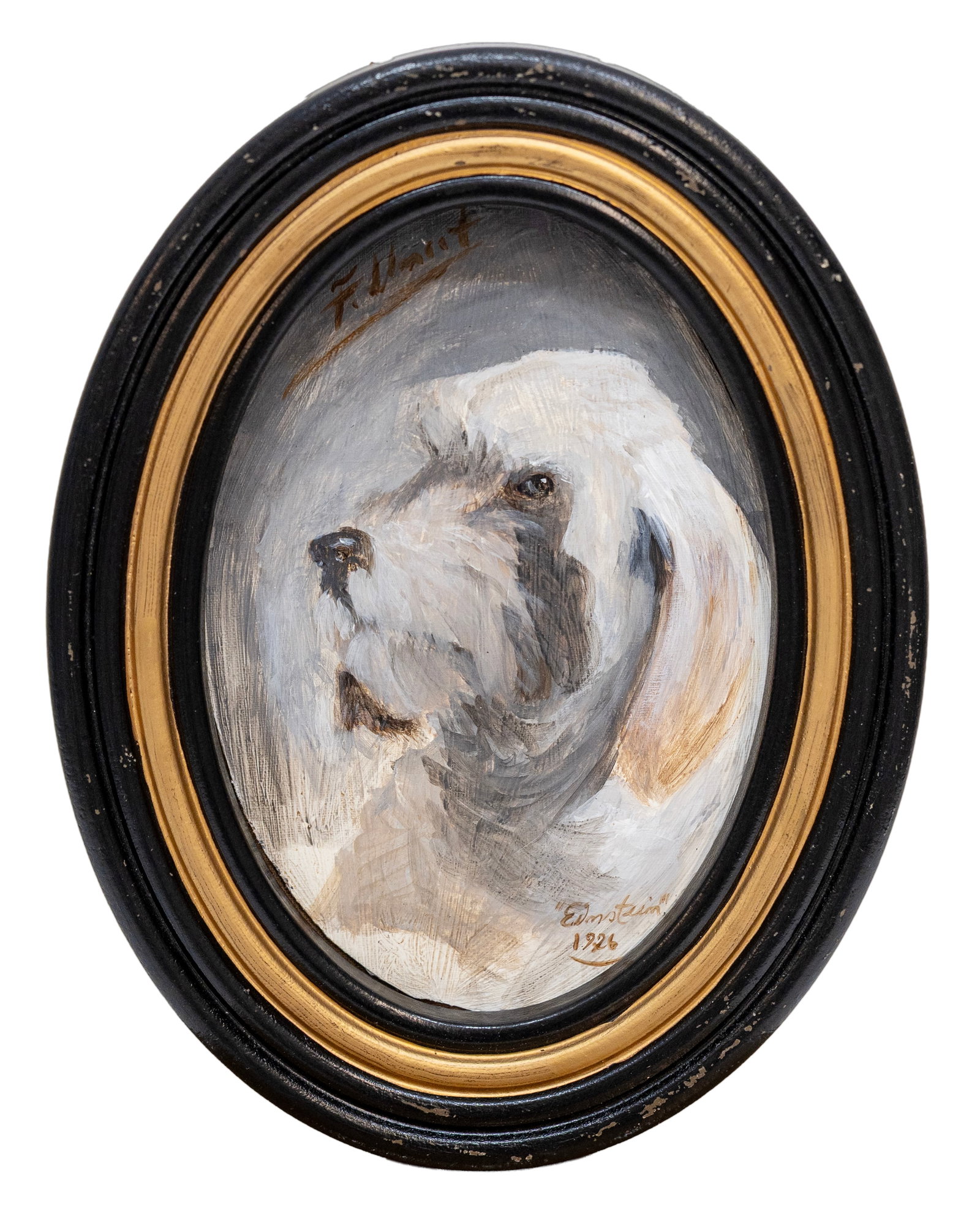 Signed Fred Lincot, "Einstein 1926", Portrait of a Dog, Oil on Cardboard: Artist, Year, Title: Signed Fred Lincot "Einstein 1926", Portrait of a Dog Medium: Oil on Cardboard Dimensions: Panel 6" x 10", Framed 11" x 19" Provenance: Priv