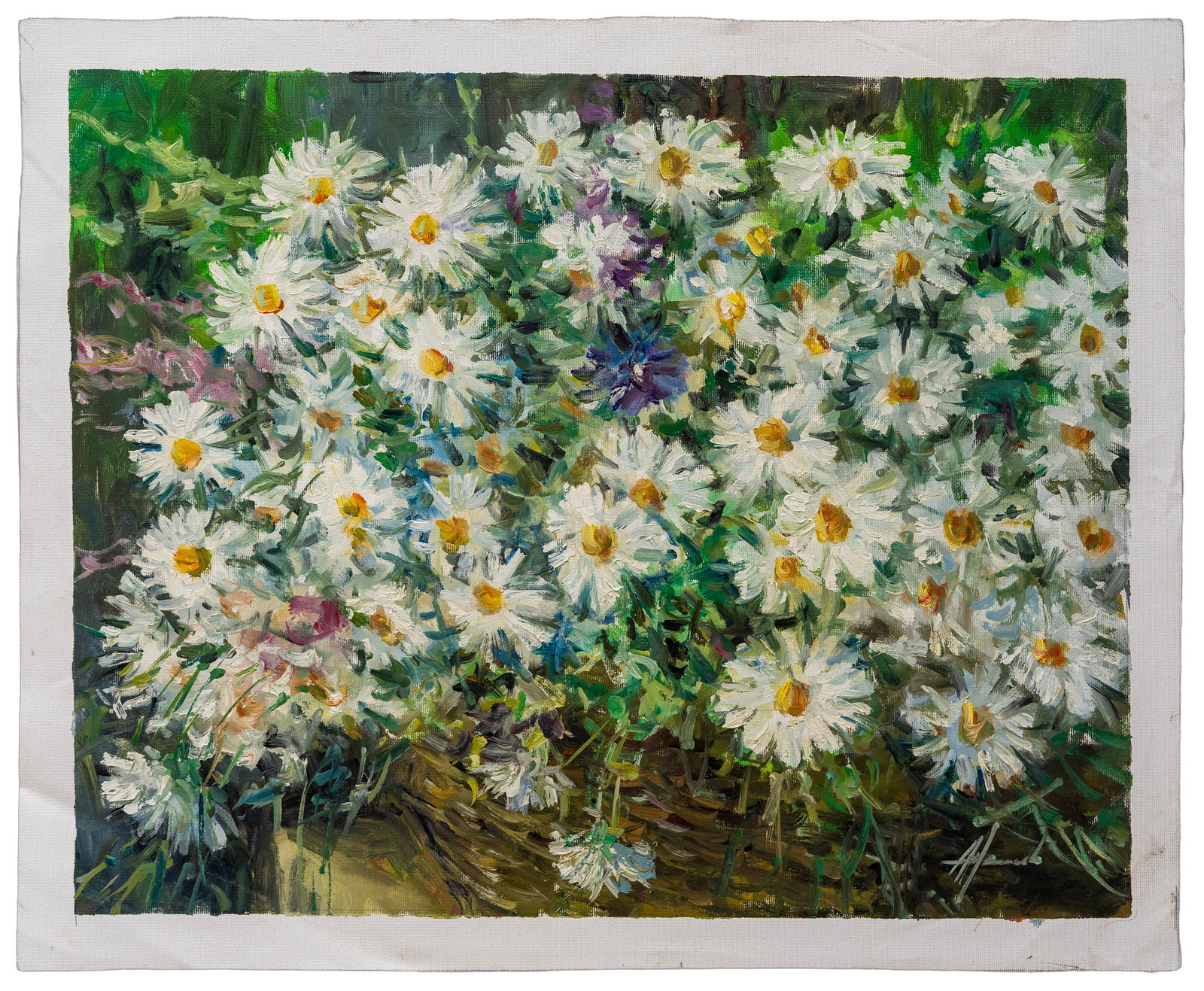 Alexander Heucher (Ukrainian-German, b. 1948), Floral Still Life with Daisies (1 of 4)