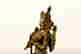 item-118142132=5