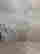 item-119516247=7