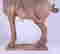 item-119822299=3