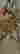 item-121178944=2