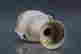 item-123731679=7