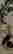 item-123731693=2