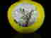 item-123731717=3