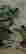 item-123731741=2