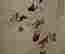 item-123731752=4