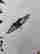 item-129420384=7