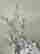 item-133165156=8