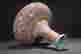 item-133165401=5