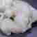 item-133508960=3