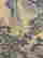 item-133509010=5