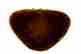 item-133509093=5