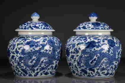 A Precious Pair Of Blue And White 'Dragon& Flower' Jars (1 of 8)