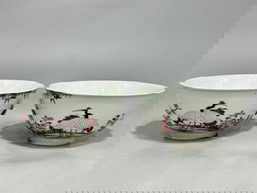 A Exquisite Famille-Rose Flower and Bird Pattern Crane Pattern with poem Bowl (1 of 9)