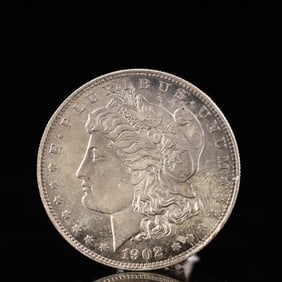 USA Morgan Dollar 1902 Coin