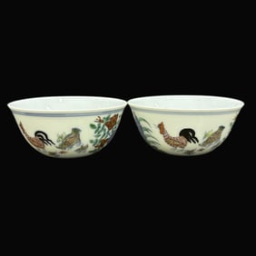 A pair of Rare Doucai Flower and Bird Pattern Cup