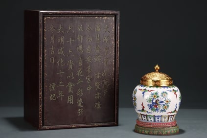 A Rare Doucai Flower and Bird Pattern Jar