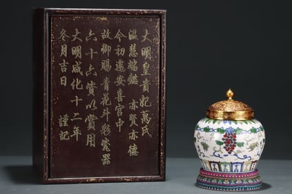 A Rare Doucai Grape and Butterfly Pattern Jar