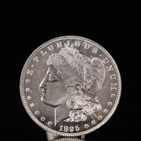 USA Morgan Dollar 1895 Coin