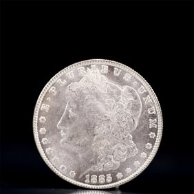 USA Morgan Dollar 1885 Coin