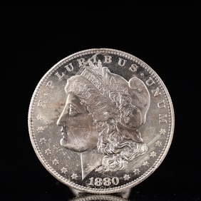 USA Morgan Dollar 1880 Coin