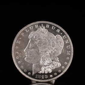 USA Morgan Dollar 1893 Coin