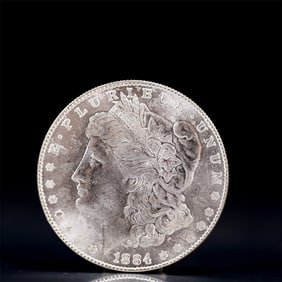USA Morgan Dollar 1884 Coin