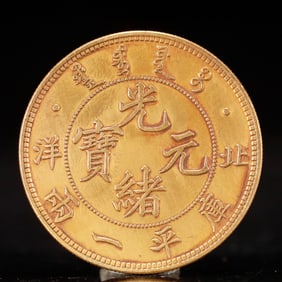 An Exquisite Gold Coin