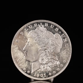 USA Morgan Dollar 1901 Coin