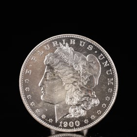 USA Morgan Dollar 1900 Coin
