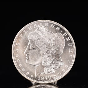USA Morgan Dollar 1879 Coin